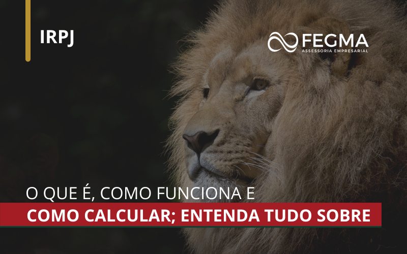 IRPJ - O que é, como funciona e como calcular? Entenda tudo sobre;