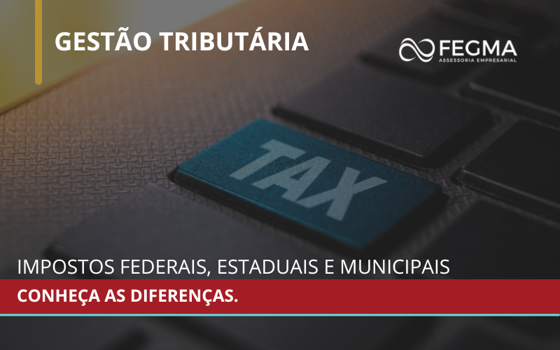 Impostos Federais, Estaduais e Municipais: conheça as diferenças